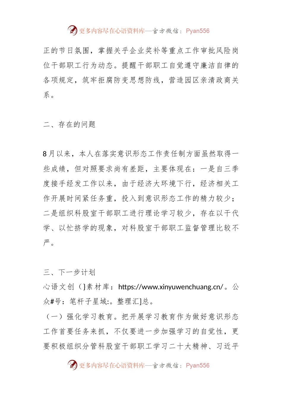个人落实意识形态工作责任制情况报告.docx_第2页