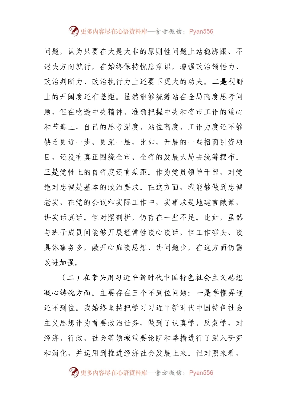 个人副市长2022年度民主生活会对照检查材料.docx_第2页