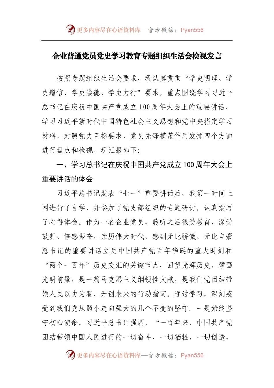企业党员干部个人检视发言.docx_第1页