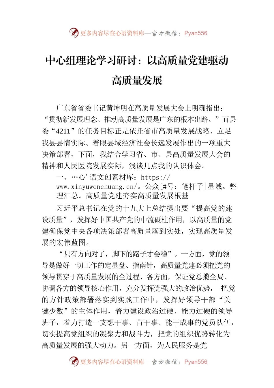 中心组理论学习研讨：以高质量党建驱动高质量发展.docx_第1页