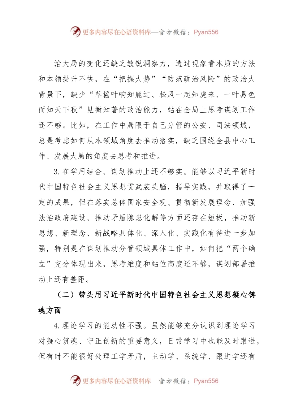 个人2022年度公安局党委书记、局长民主生活会个人发言提纲.docx_第2页