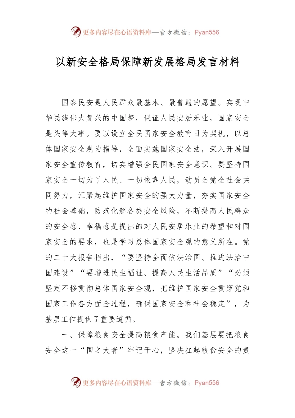 以新安全格局保障新发展格局发言材料.docx_第1页