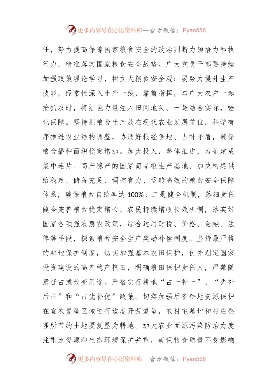以新安全格局保障新发展格局发言材料.docx_第2页