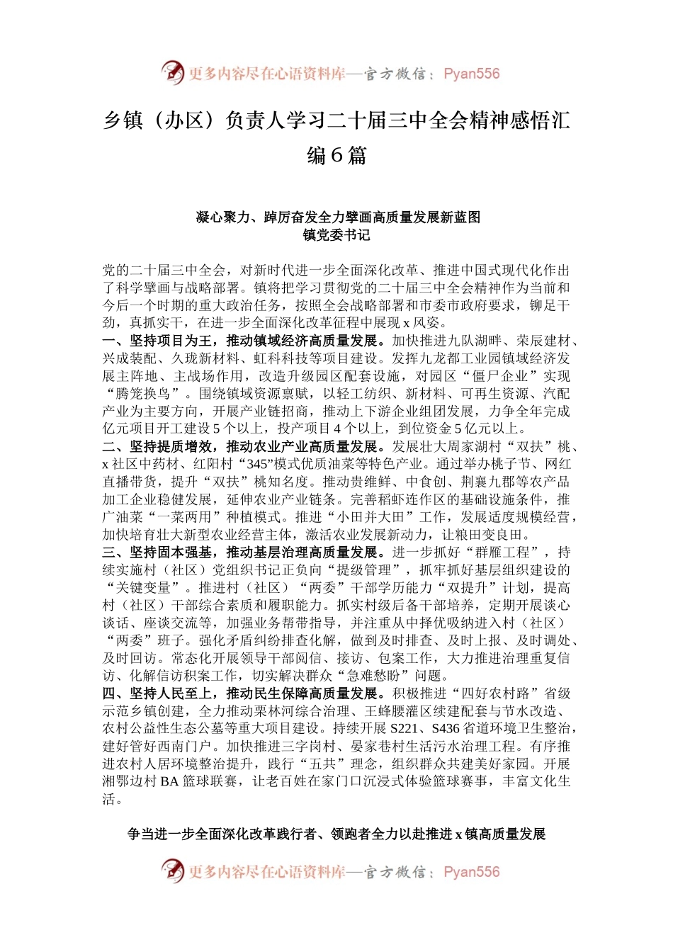 乡镇（办区）负责人学习二十届三中全会精神感悟汇编6篇.docx_第1页