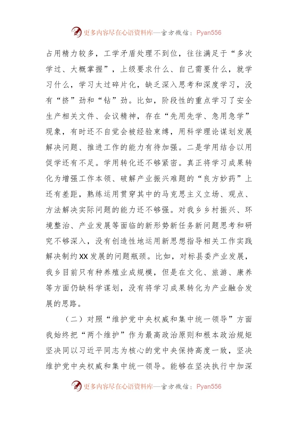 乡镇党委书记主题教育专题民主生活会资料（七个方面、政绩观、反面典型案例剖析）.docx_第2页