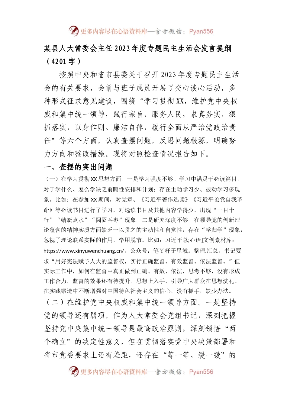 人大主任2023年主题教育民主生活会个人对照检查材料（践行宗旨等6个方面）(1).docx_第1页