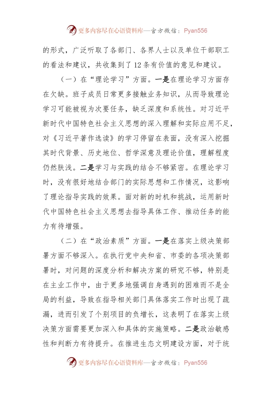 主题教育专题民主生活会班子对照检查.docx_第2页