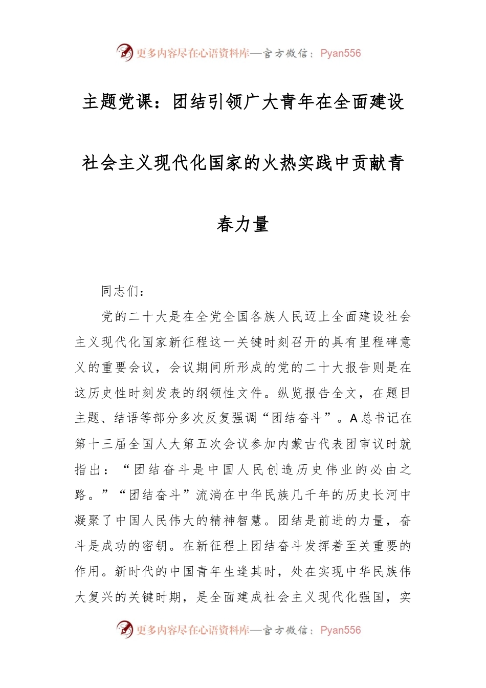 主题党课：团结引领广大青年在全面建设社会主义现代化国家的火热实践中贡献青春力量.docx_第1页
