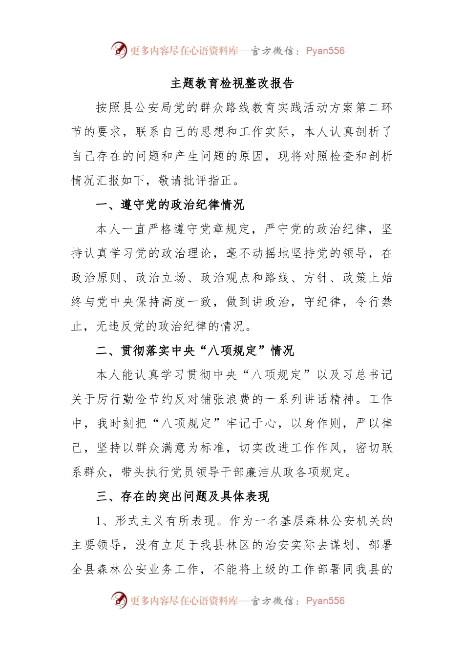 主题教育检视整改报告.docx_第1页