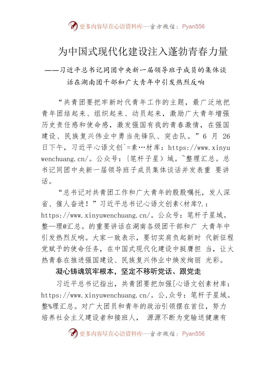 为中国式现代化建设注入蓬勃青春力量——习近平总书记同团中央新一届领导班子成员的集体谈话在湖南团干部和广大青年中引发热烈反响.docx_第1页