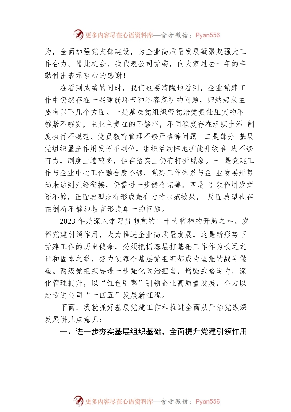 公司党委书记在2023年基层党建工作述职评议考核会暨全面从严治党（党建）工作会上的讲话.docx_第2页