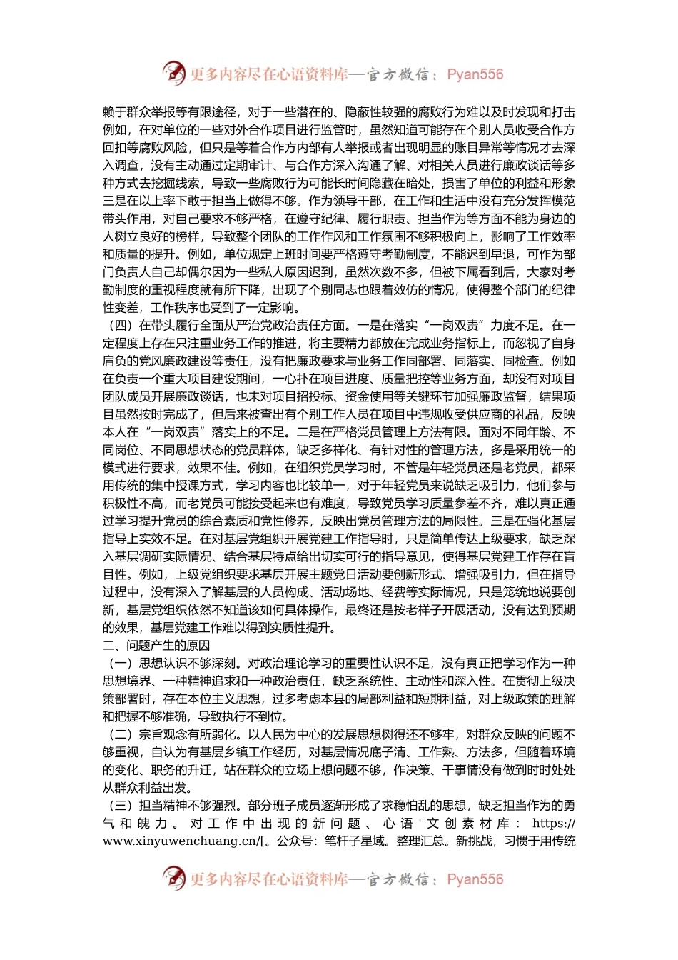 党员个人2024年专题民主生活会（组织生活会）对照检查发言提纲（四个带头）.docx_第2页