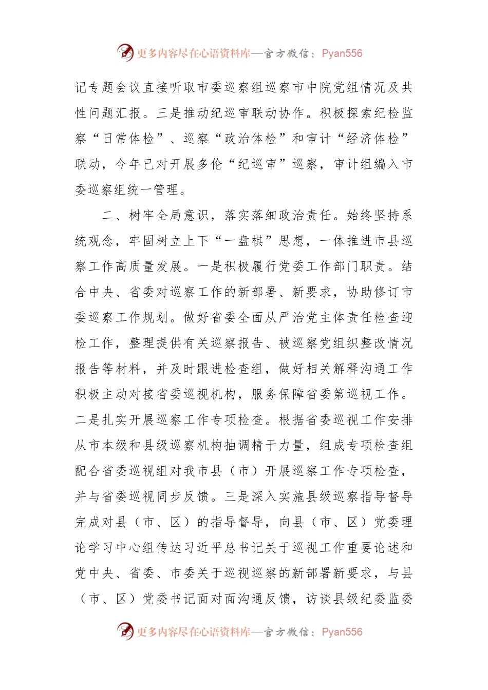 全市巡察工作情况总结.docx_第2页
