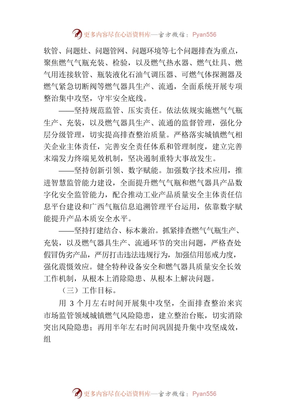 全市市场监管系统城镇燃气安全专项整治行动工作方案(20230825).docx_第2页