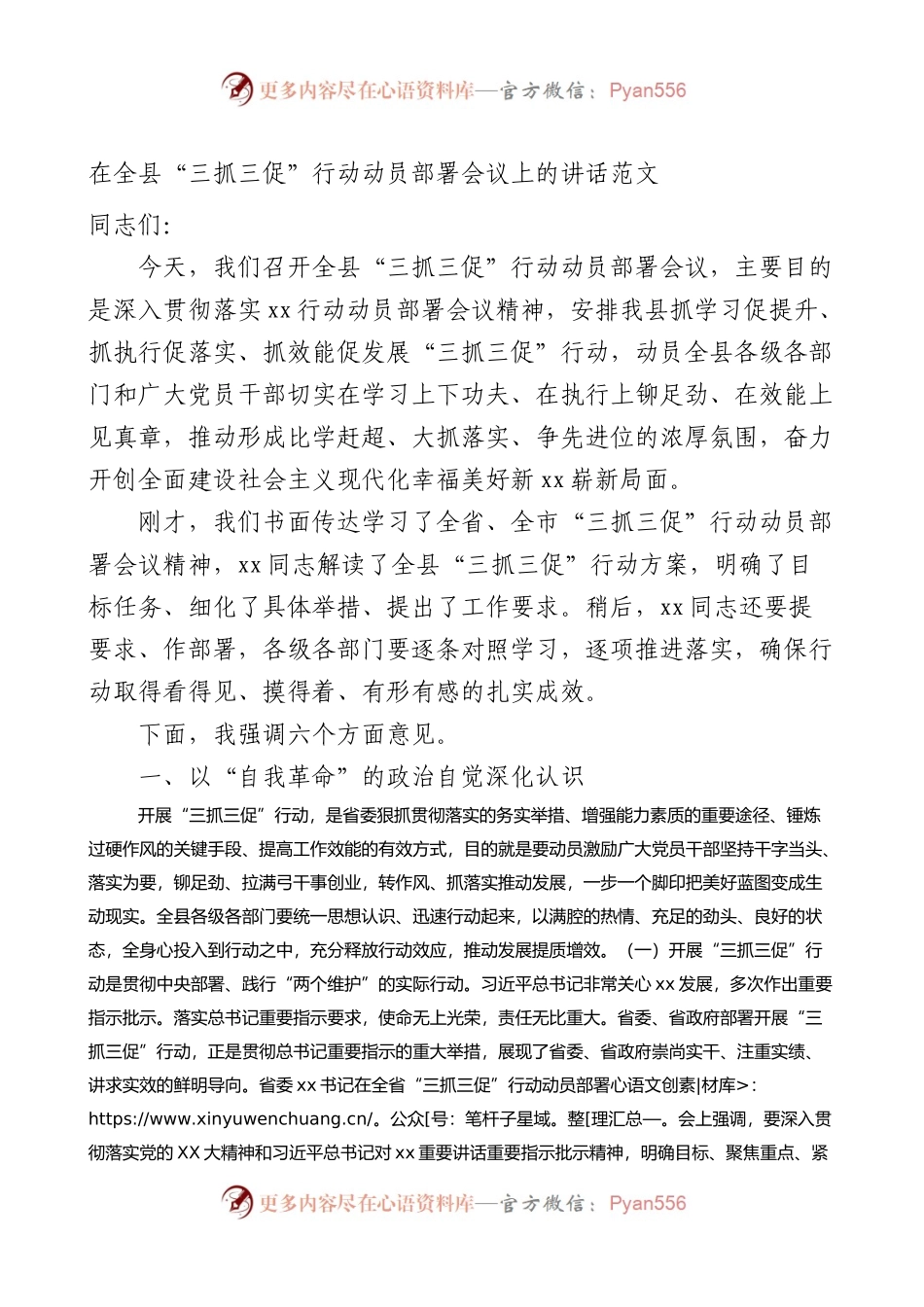 全县三抓三促行动动员部署工作会议讲话学习提升执行落实效能发展.docx_第1页