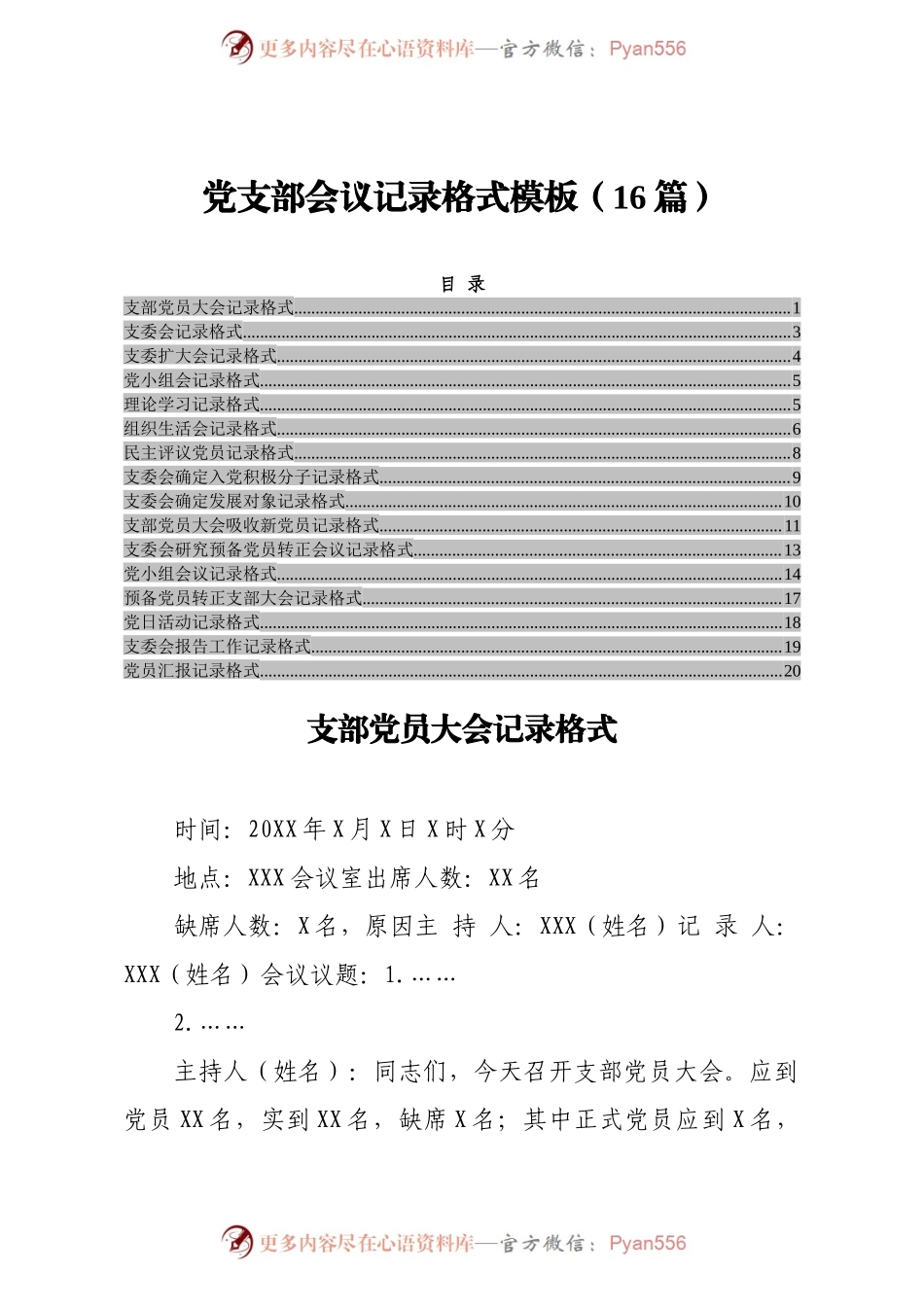 党支部会议记录格式模板（16篇）.docx_第1页