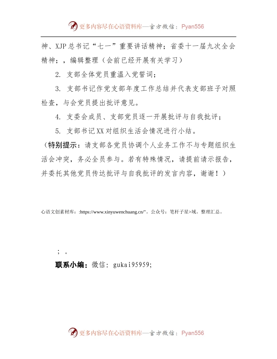 党史学习教育专题组织生活会会议议程.docx_第2页