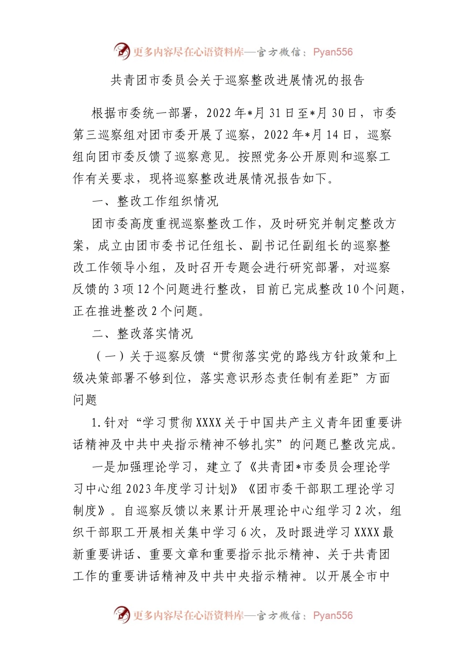 共青团市委员会巡察整改进展情况的报告.docx_第1页