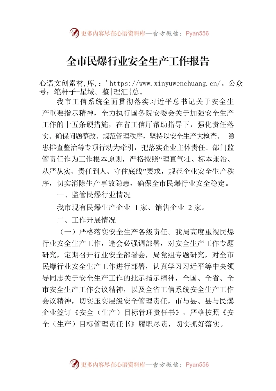 全市民爆行业安全生产工作报告.docx_第1页