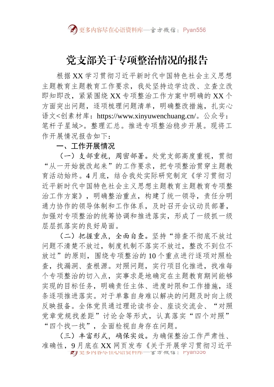 党支部关于专项整治情况的报告.docx_第1页