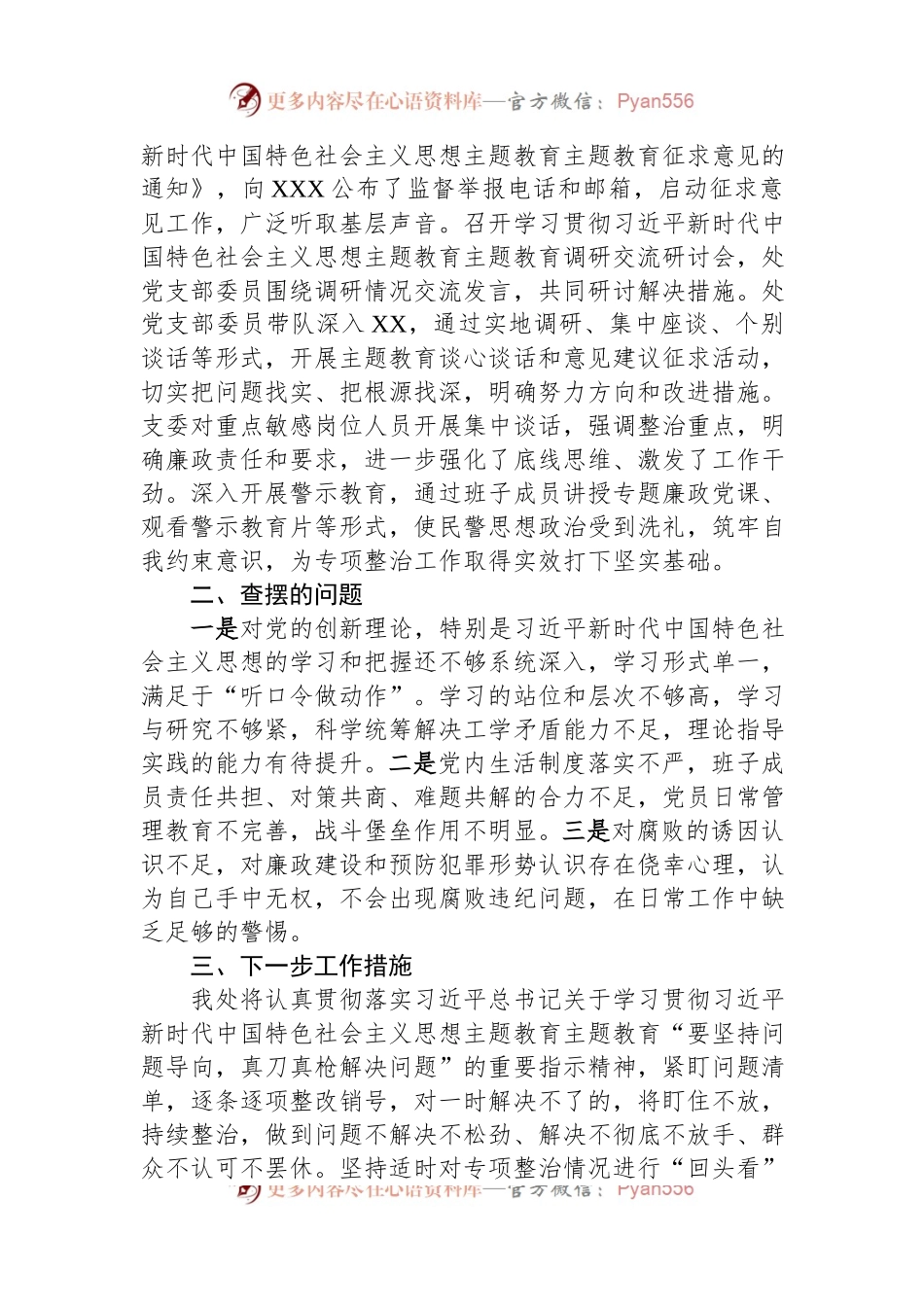 党支部关于专项整治情况的报告.docx_第2页