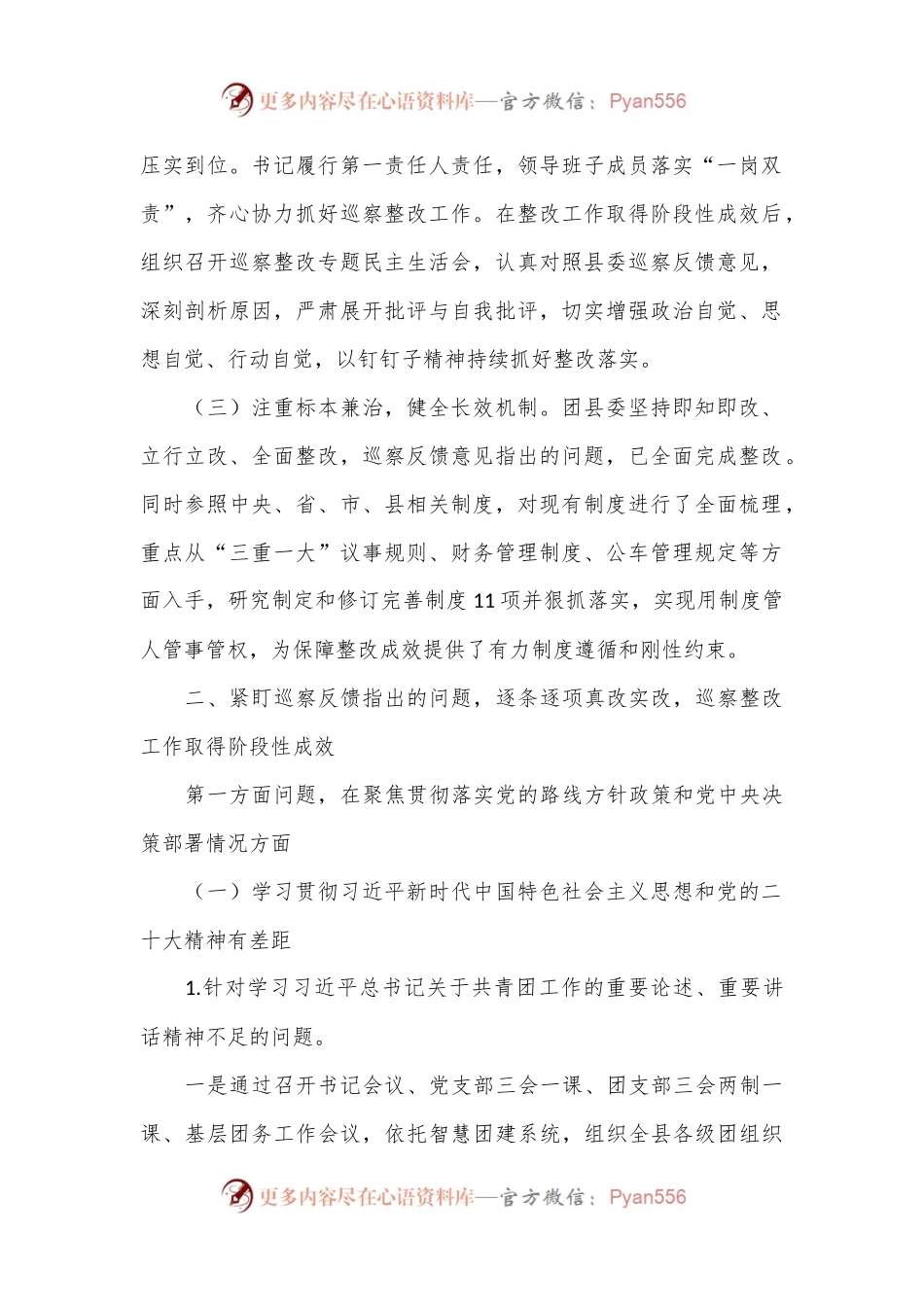 共青团县委员会关于巡察集中整改进展情况的报告.docx_第2页