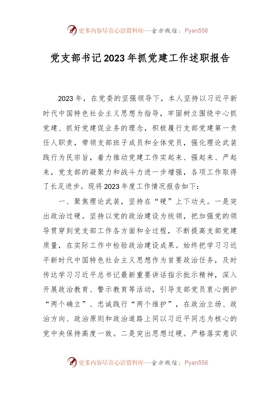 党支部书记2023年抓党建工作述职报告.docx_第1页