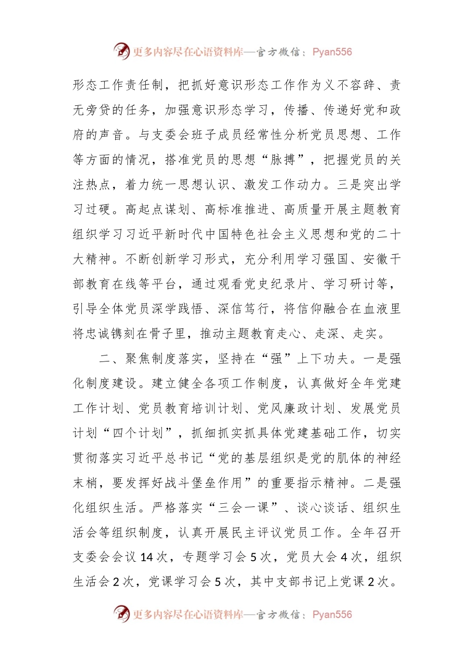 党支部书记2023年抓党建工作述职报告.docx_第2页