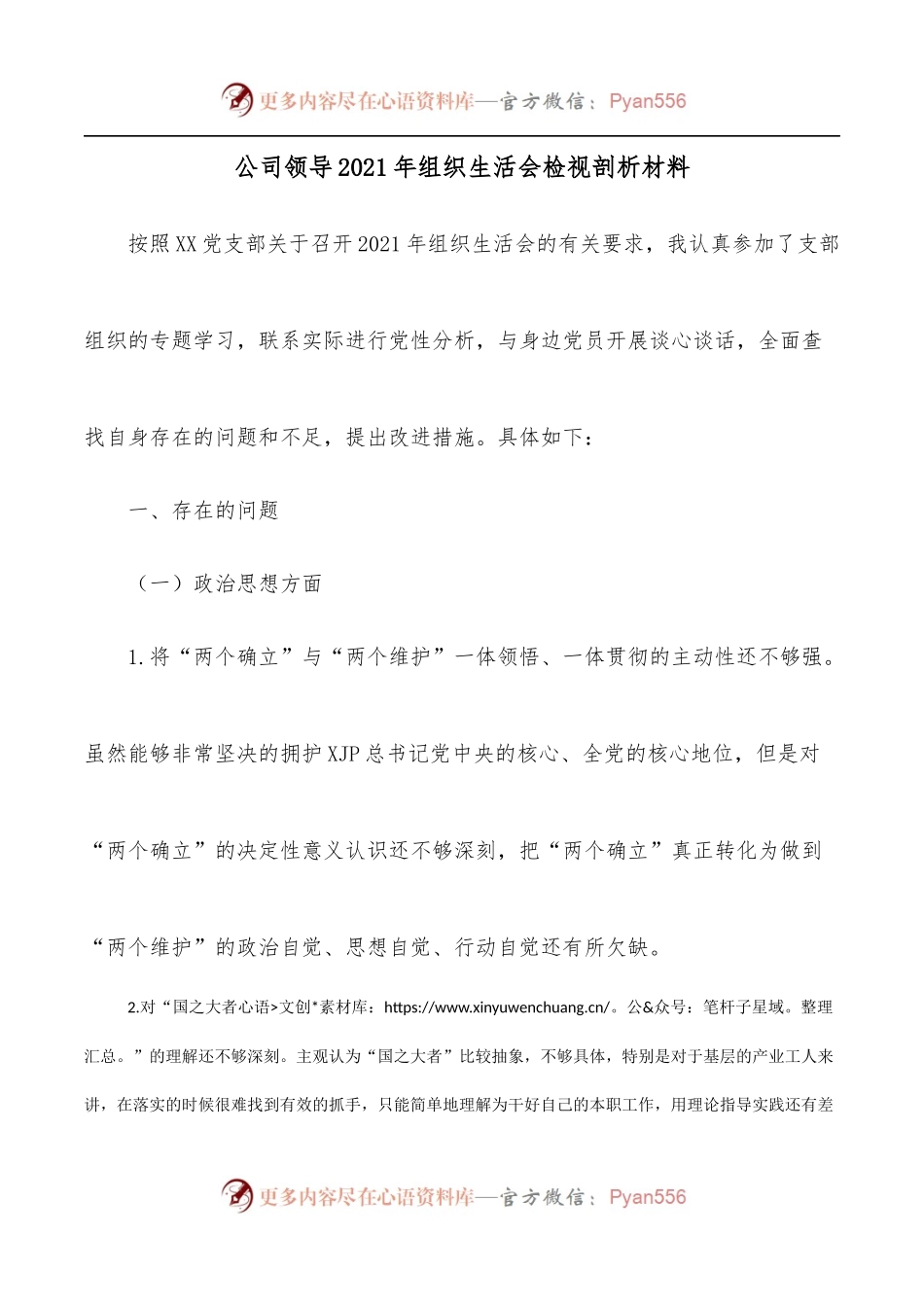 公司领导2021年组织生活会检视剖析材料.docx_第1页