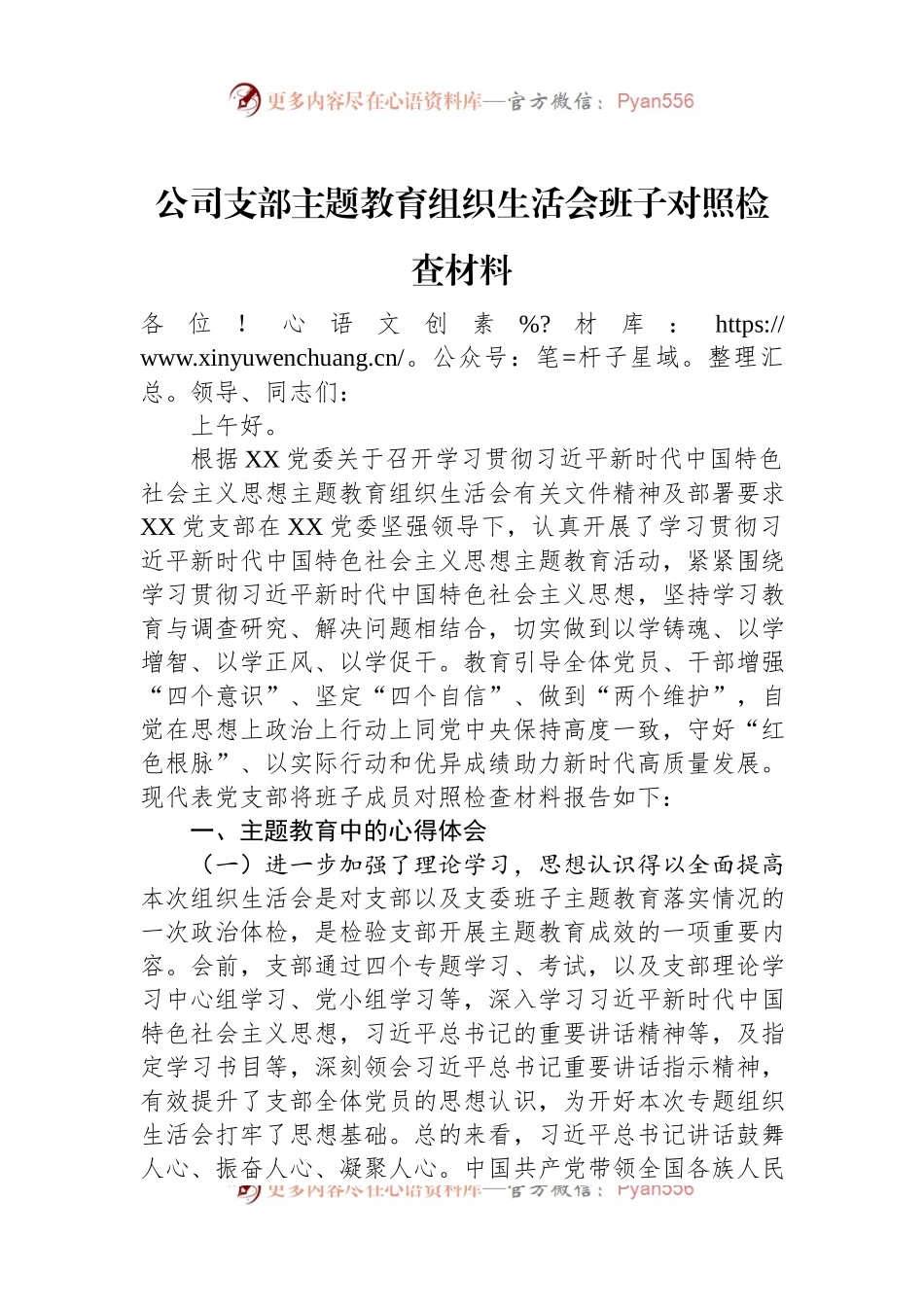 公司支部主题教育组织生活会班子对照检查材料.docx_第1页