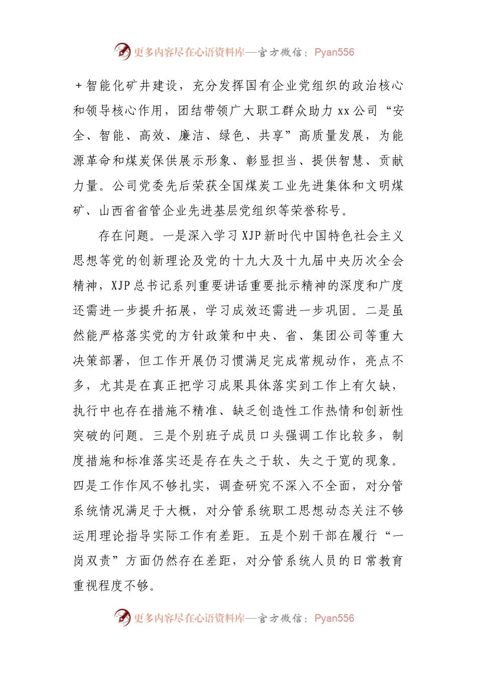 公司领导班子政治画像报告.docx_第2页