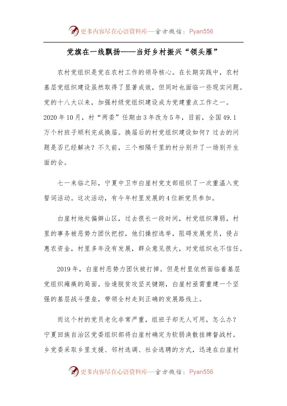 党旗在一线飘扬——当好乡村振兴“领头雁”.docx_第1页