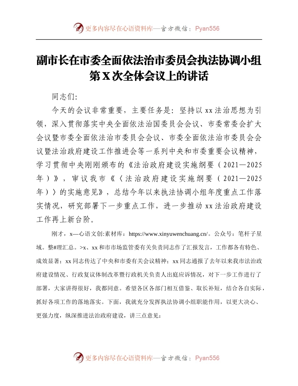 依法治市委员会执法协调小组第X次全体会议上的讲话.docx_第1页
