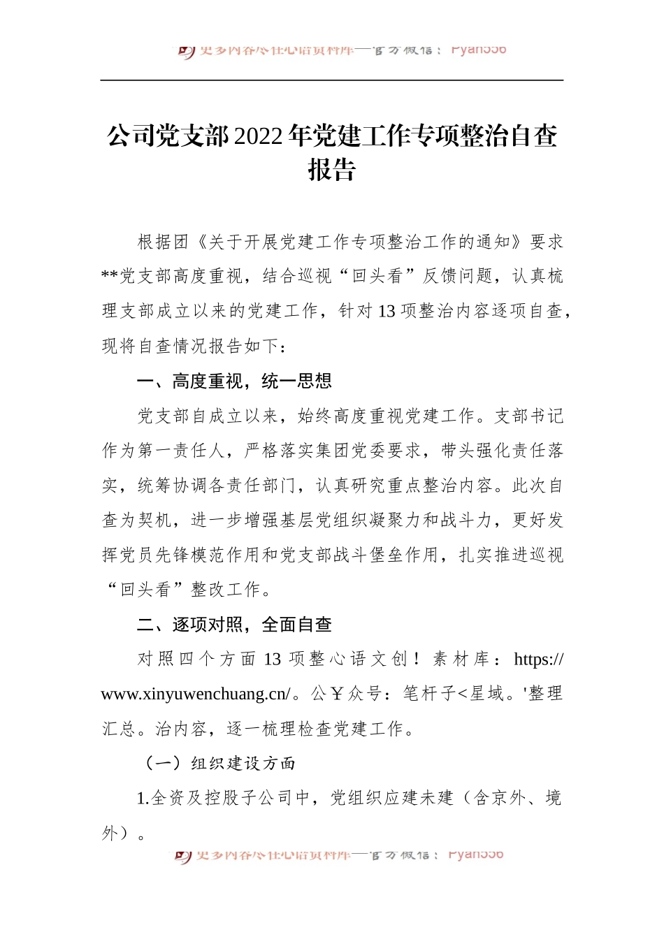 公司党支部2022年党建工作专项整治自查报告 （1）.docx_第1页