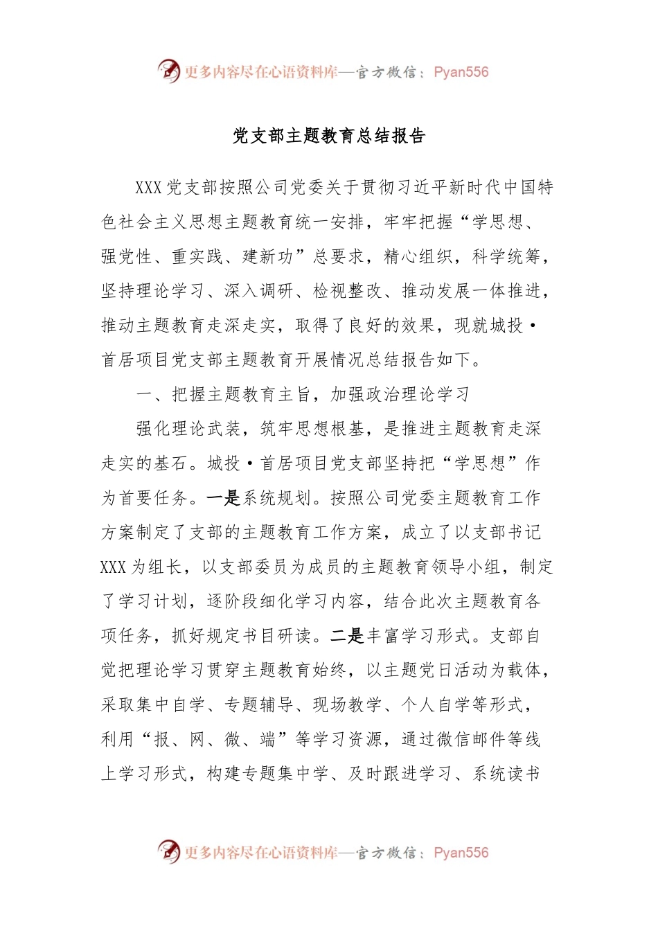 党支部主题教育总结报告.docx_第1页