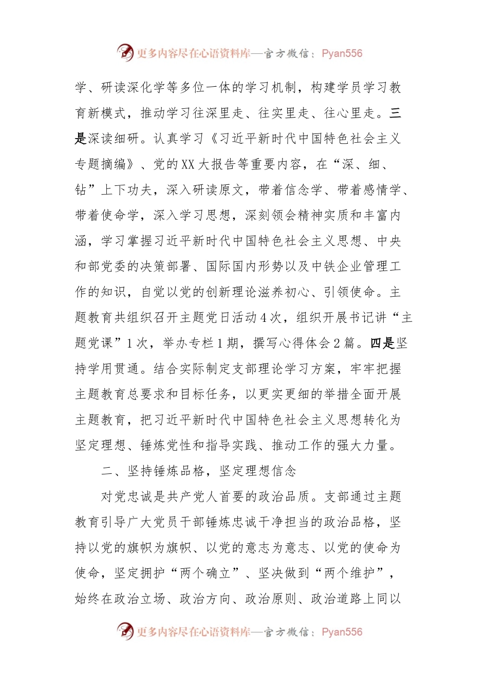 党支部主题教育总结报告.docx_第2页
