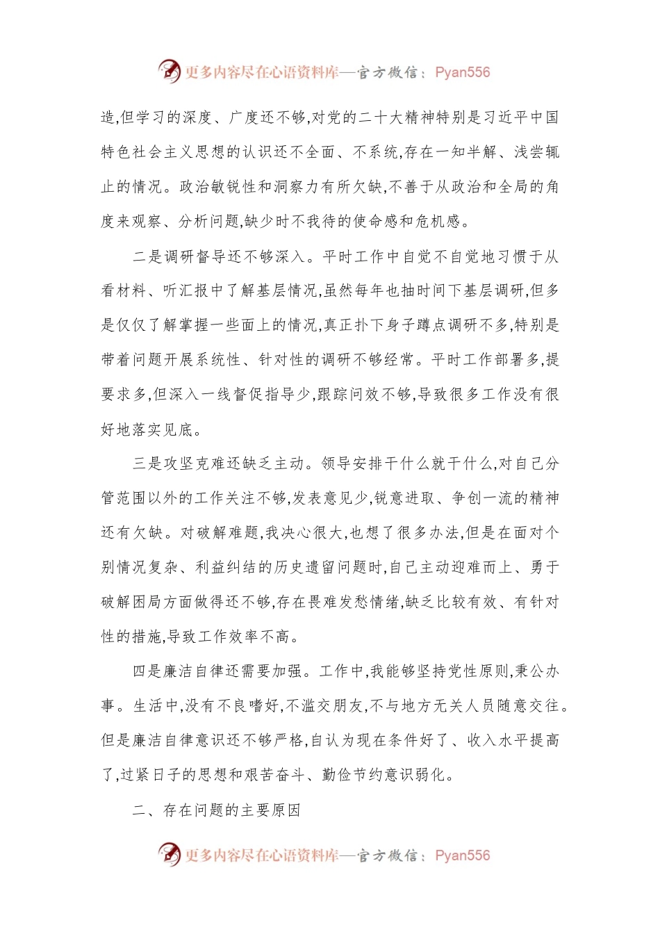 党员领导干部年度民主生活会对照检查.docx_第2页
