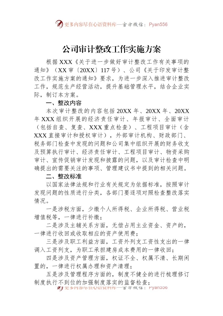 公司审计整改工作实施方案.docx_第1页