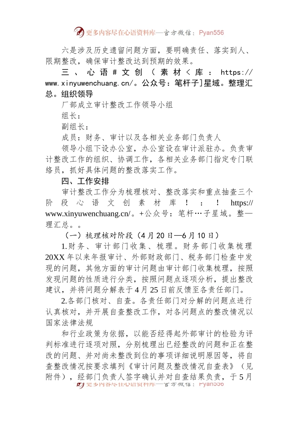 公司审计整改工作实施方案.docx_第2页