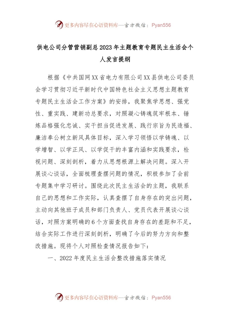 供电公司分管营销副总2023年主题教育专题民主生活会个人发言稿提纲.docx_第1页