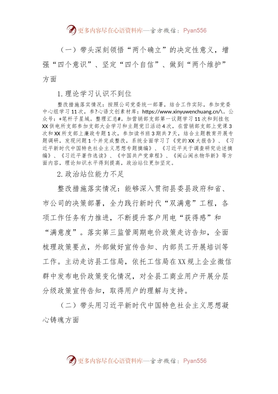 供电公司分管营销副总2023年主题教育专题民主生活会个人发言稿提纲.docx_第2页
