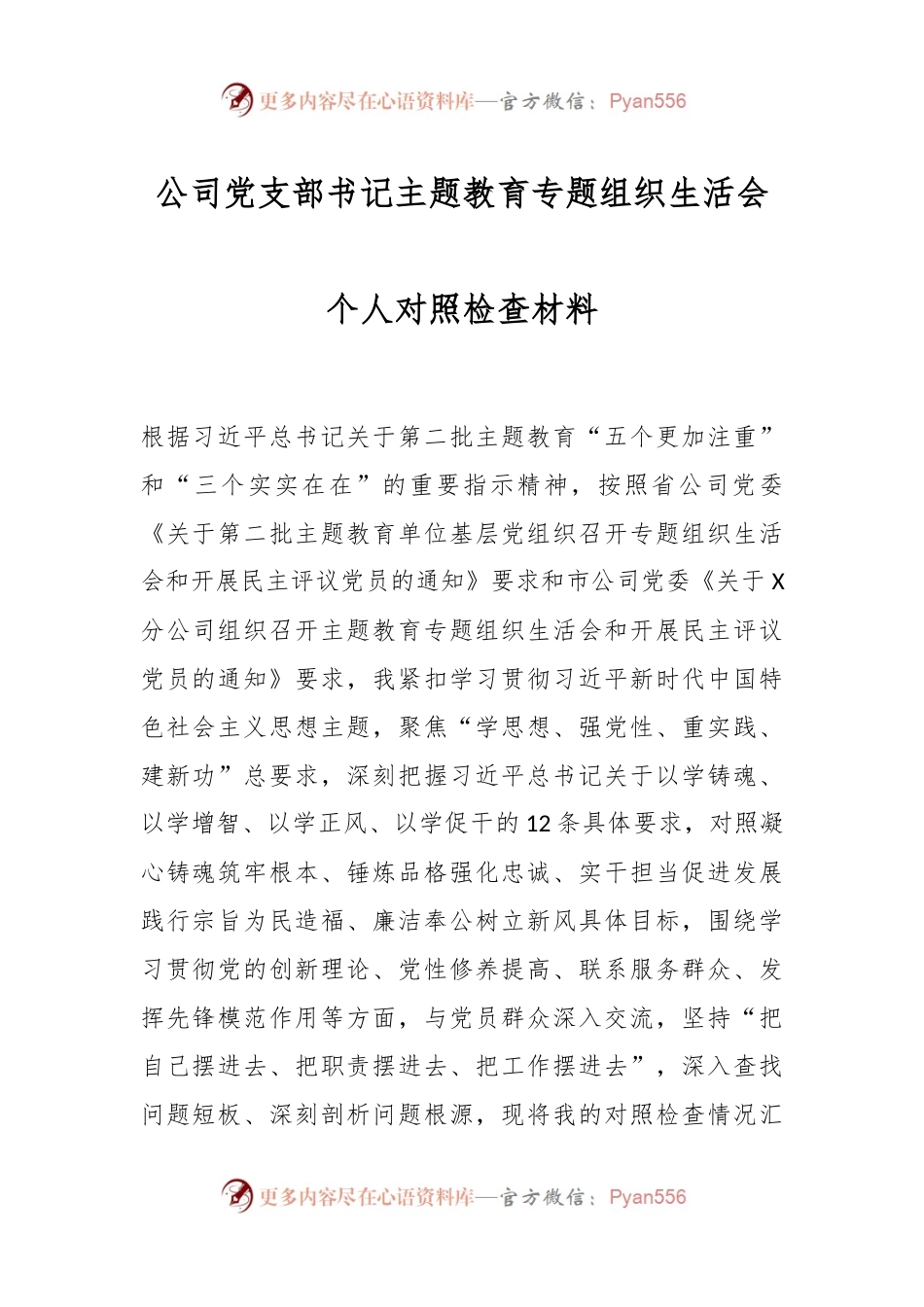 公司党支部书记主题教育专题组织生活会个人对照检查材料.docx_第1页