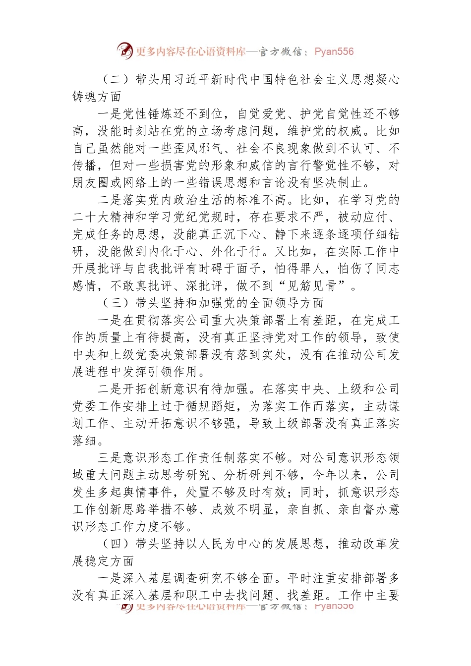 公司领导2023年六个带头专题民主生活会对照检查材料.docx_第2页