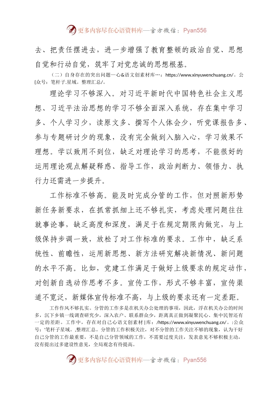 公安局长在政法队伍教育整顿专题民主生活会上的个人发言提纲.docx_第2页