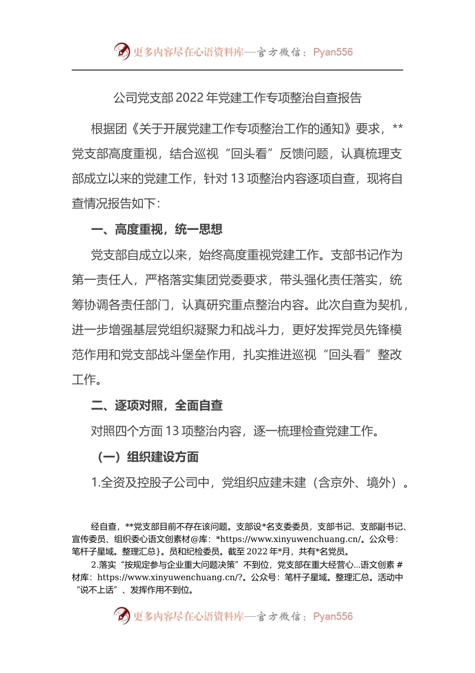 公司党支部2022年党建工作专项整治自查报告.docx_第1页