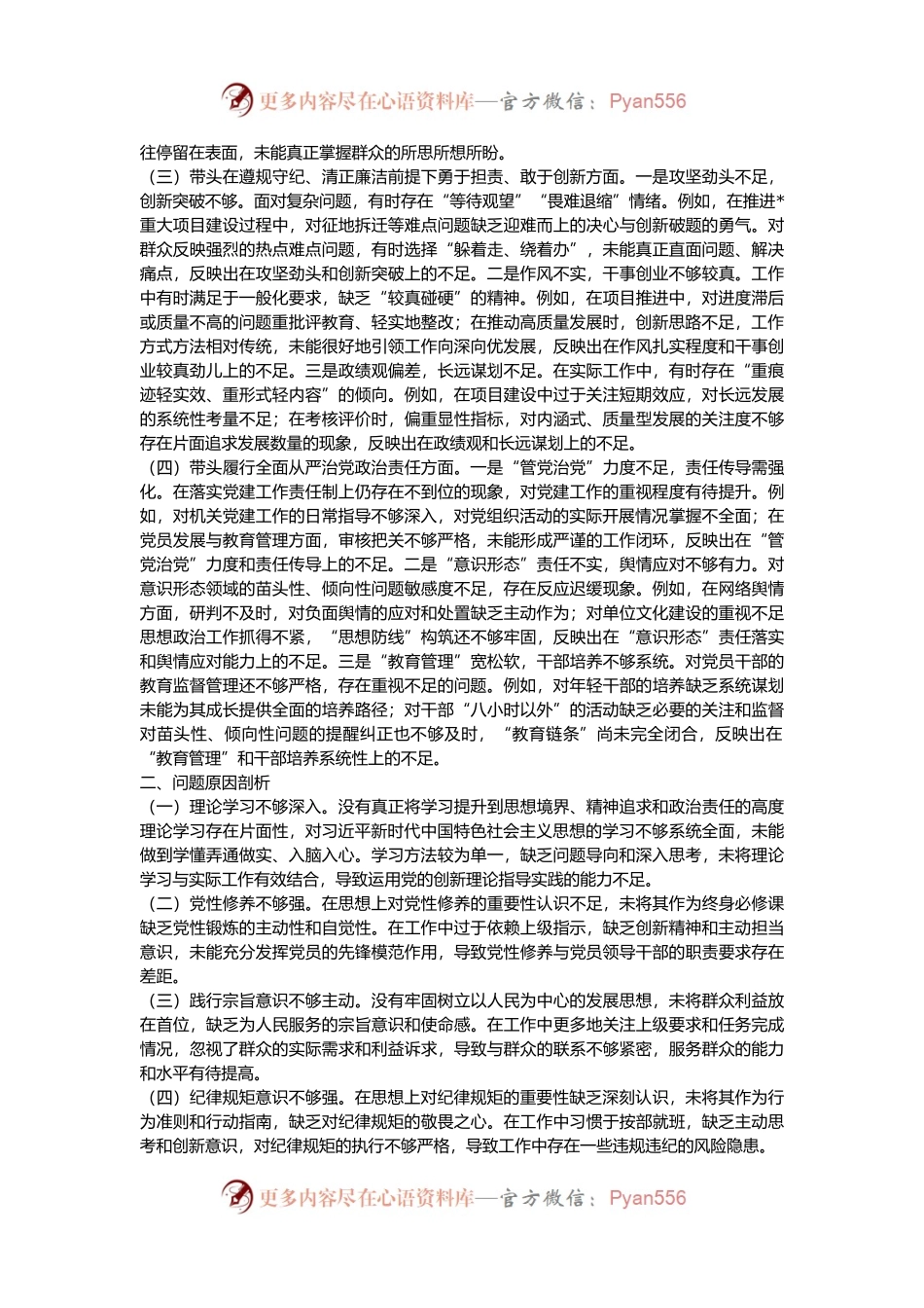 党员干部2024年民主生活会、组织生活会对照检查材料（围绕“四个带头”）.docx_第2页