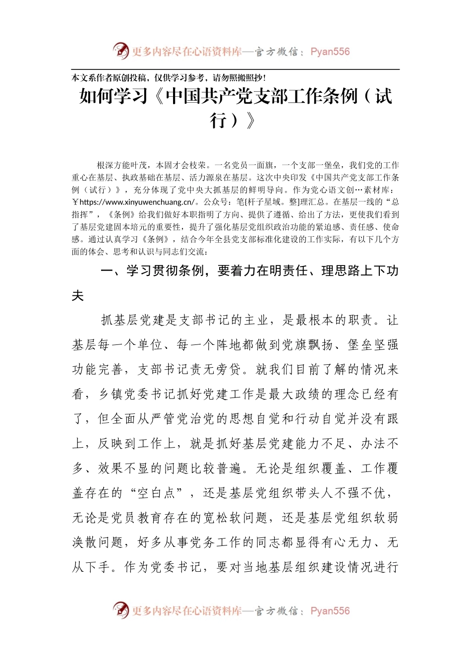 党课范文：如何学习《中国共产党支部工作条例（试行）》.docx_第1页
