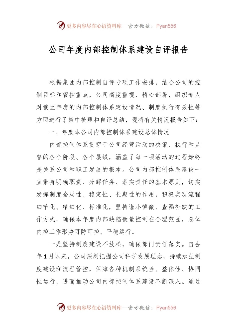 公司年度内部控制体系建设自评报告.docx_第1页