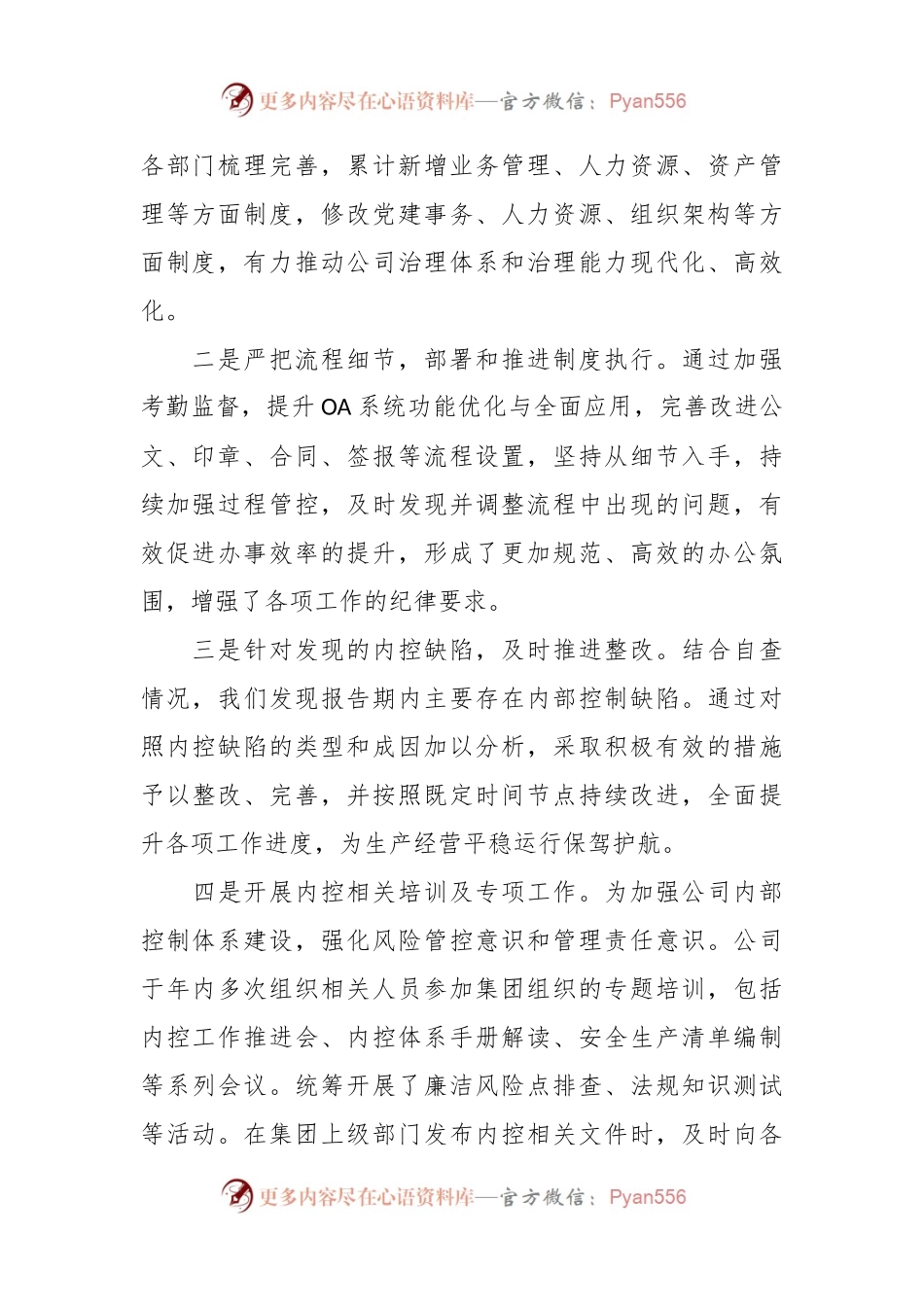 公司年度内部控制体系建设自评报告.docx_第2页