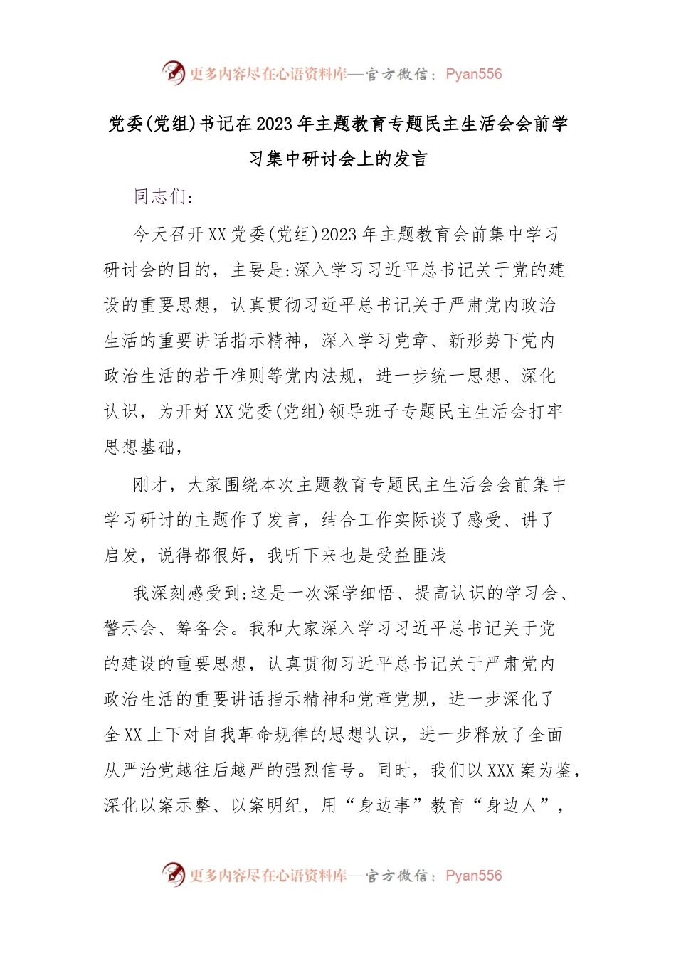 党委(党组)书记在2023年主题教育专题民主生活会会前学习集中研讨会上的发言.docx_第1页